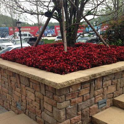 山东万方 专业园林绿化工程承包设计与施工，匠心打造绿色宜居空间