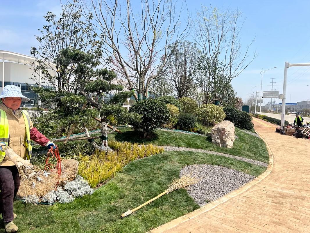 匠心营造绿意 园林绿化工程施工一线实拍与要点解析