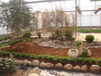 园林绿化工程施工项目管理的实践与探索