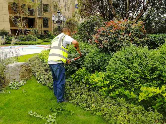 重庆绿化养护与园林景观施工的卓越伙伴 四川艺源园林景观工程