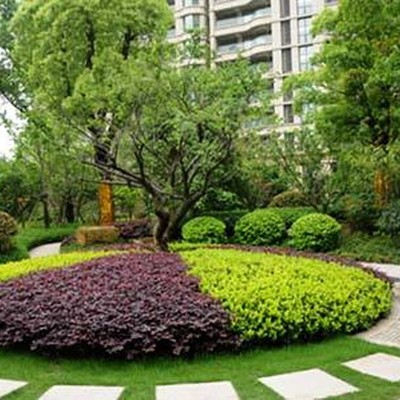 金坛区园林绿化公司地址查询与园林绿化工程施工要点