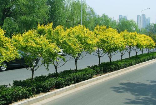 肇庆市园艺师证报考全攻略 地点、流程、价格与培训信息