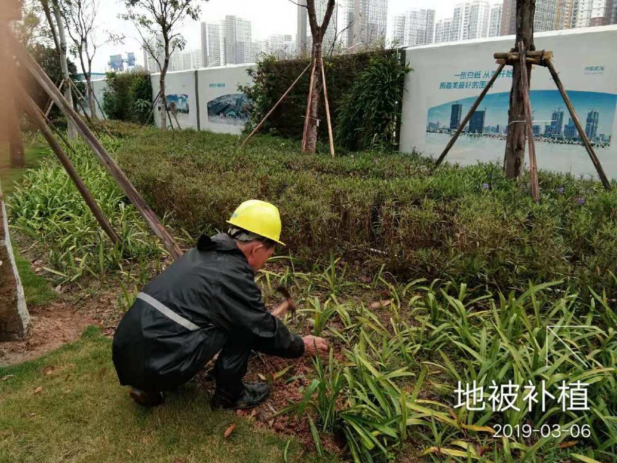 春日精细化养护 市政园林局多措并举提升城市绿化品质